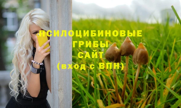 дживик Алексеевка