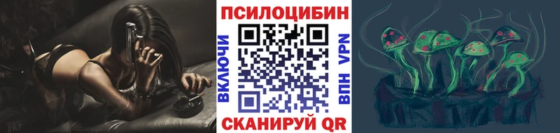 Псилоцибиновые грибы Cubensis  купить закладку  Ветлуга 
